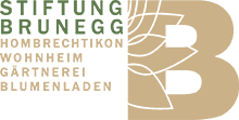 Logo BRUNEGG foot